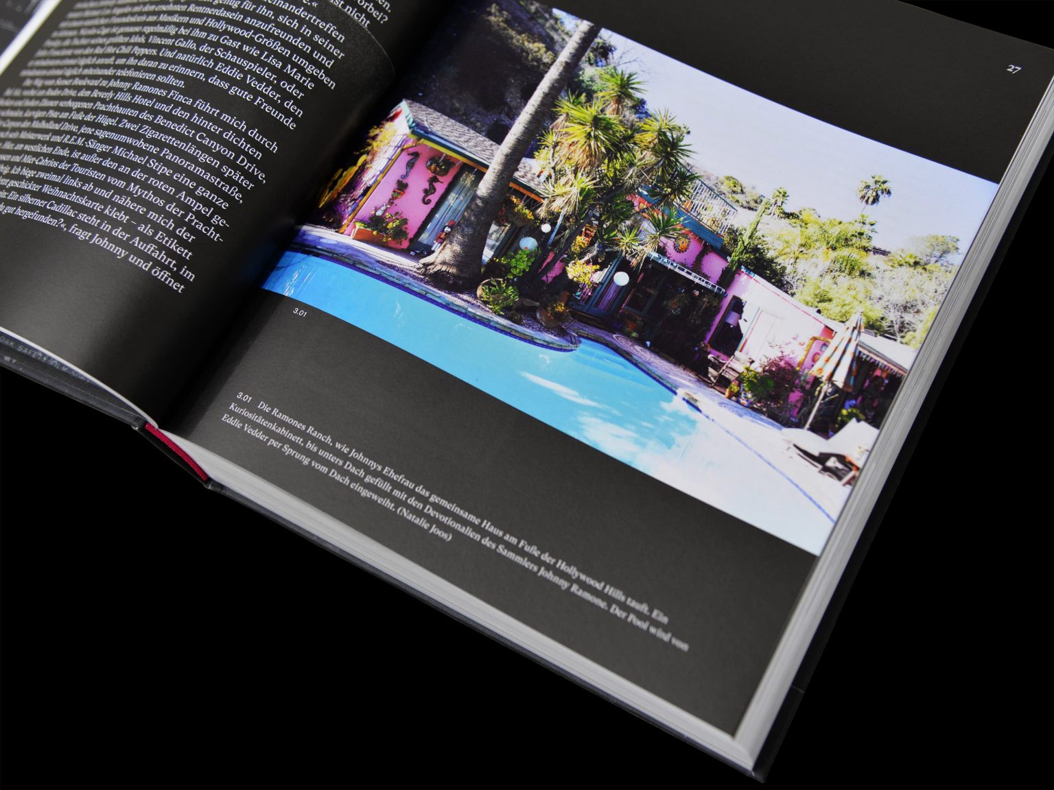 Ta Trung Ramones Katalog 07